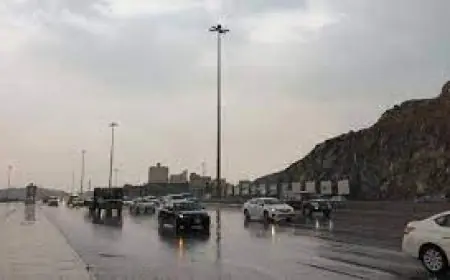 الأرصاد تصدر تحذيرًا لموجة باردة شديدة الأربعاء: درجة الحرارة تصل إلى واحدة فقط