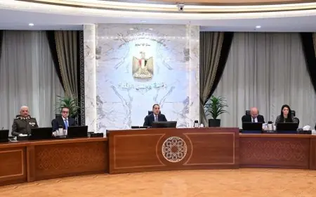 الحكومة تخطط لرفع الغرامات على جرائم انتشار الشائعات والأخبار الكاذبة