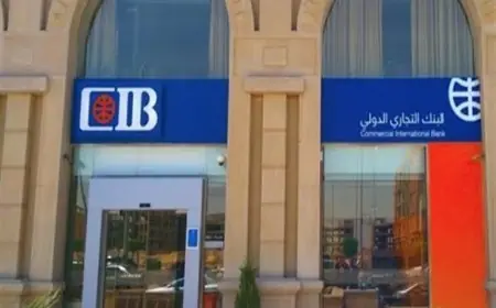 اكتشف وظائف بنك CIB لحديثي التخرج: المؤهلات المطلوبة وخطوات التقديم