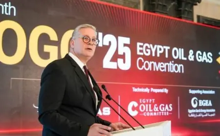 تعاون البترول مع الشركات يحقق استقرار إنتاج الغاز في مصر