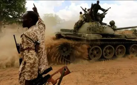 الدعم السريع تسيطر على حقل هجليج الحيوي أكبر موقع نفطي في السودان