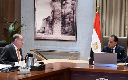 مدبولي يعزز التعاون مع رئيس بلومبرج جرين لإطلاق شراكات استراتيجية متعددة المجالات التفاصيل الكاملة هنا