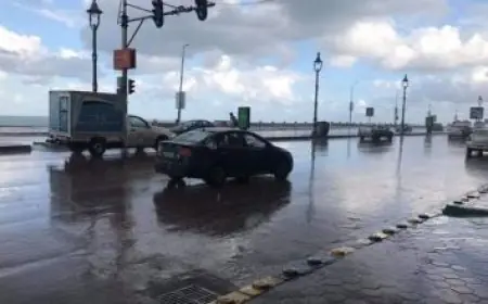 كامل أبو علي يعلن نجاحه في تسديد كافة ديون نادي المصري البورسعيدي