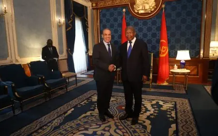 وزير الخارجية يقدم رسالة رئاسية هامة من رئيس الجمهورية إلى رئيس أنجولا