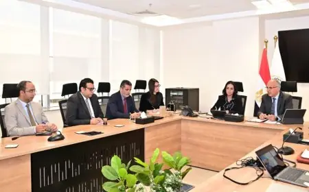 وزيرا الري والتضامن يناقشان استغلال ورد النيل لصناعة منتجات ومشغولات يدوية مبتكرة