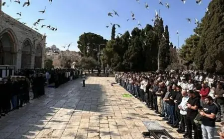 آلاف المصلين يؤدون صلاة الجمعة في الأقصى والاحتلال يعتقل أحد الحراس