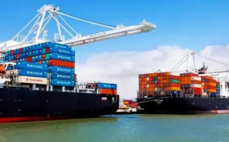 قفزة ضخمة في صادرات مصر الزراعية تصل إلى 8.8 مليون طن بزيادة 750 ألف طن مقارنة بالعام الماضي