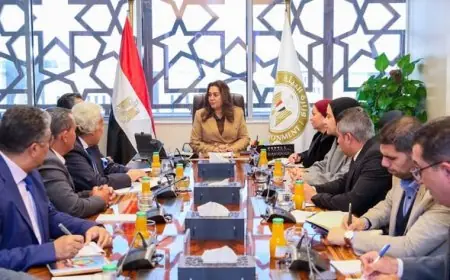 فرص الاستثمار المستدام بالمحميات الطبيعية محور نقاش وزيرة التنمية المحلية مع مستثمر بارز
