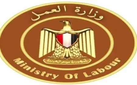 اكتشف الوظائف الجديدة التي أعلنت عنها وزارة العمل في هذه المجالات المميزة