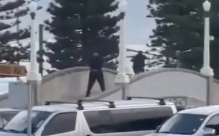 هجوم سيدني يحدث أثناء فعالية تكريم الجنود المهاجرين: تصريحات وزير الهجرة الإسرائيلي