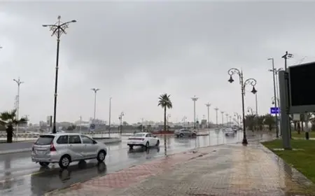 تحذير الأرصاد: أمطار غزيرة متوقعة في القاهرة الكبرى وشمال الصعيد