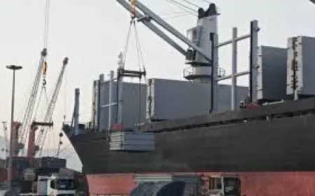 وزارة قطاع الأعمال تصدر أول شحنة من الفحم البترولي المكلسن بعد إعادة تشغيل مصنع الأنود