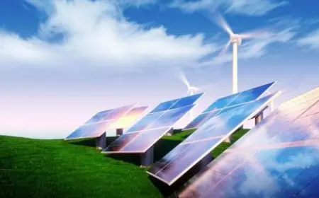 التحول إلى الطاقة الخضراء: أحمد الشناوي يوضح أهميته في تصدي التغيرات المناخية