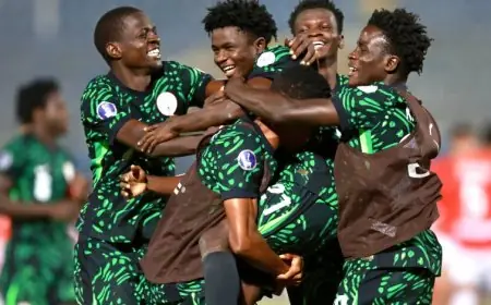 نيجيريا تحط في القاهرة بقائمة ناقصة استعدادا لمواجهة مصر الودية