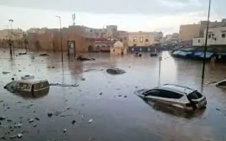 ارتفاع عدد ضحايا السيول في المغرب إلى 51 بين قتيل ومصاب