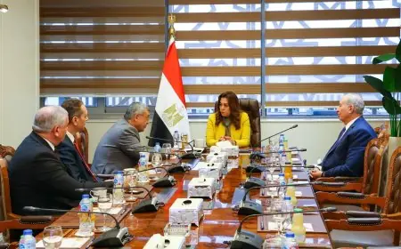 وزيرة التنمية المحلية تستقبل لجنة الطاقة والبيئة والقوى العاملة بمجلس الشيوخ لتحفيز التعاون والتطوير الاقتصادي