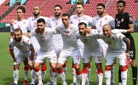 أرقام قياسية في كأس أمم أفريقيا 2025 أكبر حضور جماهيري باسم تونس