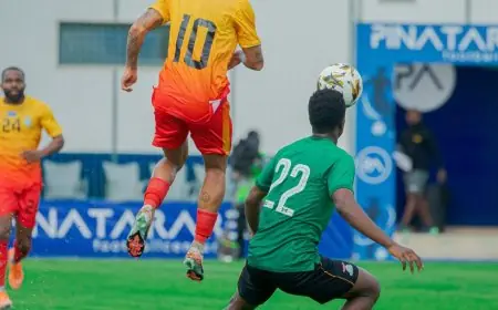 الكونغو الديمقراطية تقهر زامبيا بثنائية في مباراة ودية استعدادًا لكأس أمم أفريقيا