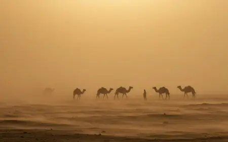 الأرصاد: توقعات بطقس بارد صباحًا مع أجواء معتدلة نهارًا وأمطار محتملة ونشاط للرياح