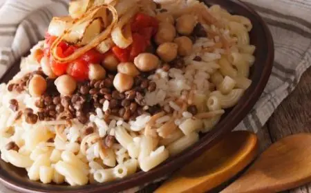 بعد إدراج الكشري في اليونسكو التراث غير المادي في خطر الانقراض بسبب نقص التوثيق