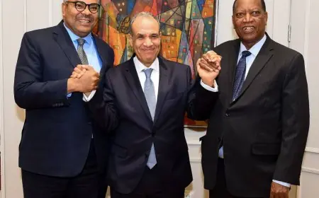 لقاء هام بين وزير الخارجية ونظيره التنزاني لتعزيز التعاون الثنائي