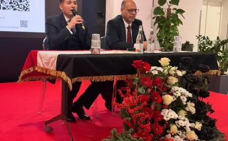 أولوية الدولة: حماية حقوق العمالة المصرية بالخارج حسب وزير العمل