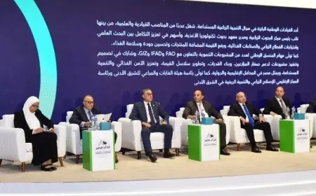 تضاعف متوقع للاستثمارات الأجنبية المباشرة في مصر بحلول 2026 و2027