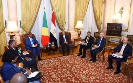 وزير الخارجية يشدد على تعزيز التعاون الاقتصادي والتجاري والاستثماري مع الكونجو لتحقيق نمو مشترك