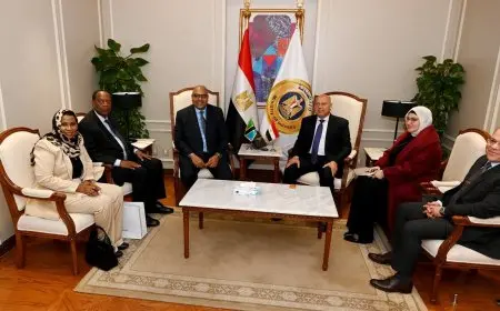 مصر وتنزانيا تتعاونان لإنشاء محطة بضائع بميناء دار السلام وتطوير منطقة لوجستية مشتركة