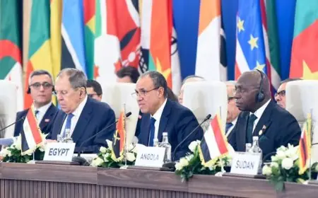 وزير الخارجية يسلط الضوء على استراتيجية مصرية لتعزيز الأمن والتنمية في أفريقيا