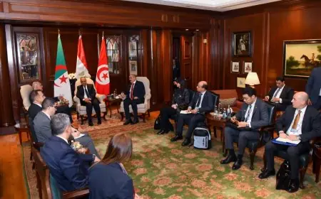 اجتماع ثلاثي بين وزير الخارجية ونظيريه من الجزائر وتونس لبحث الوضع في ليبيا