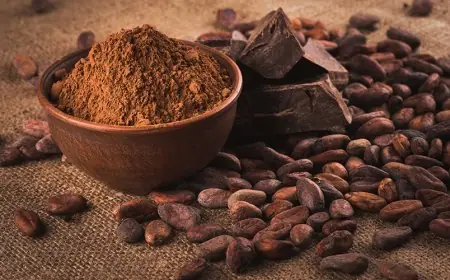 بلومبرج تكشف: لماذا لا يؤثر هبوط أسعار الكاكاو على أسعار الشوكولاتة؟