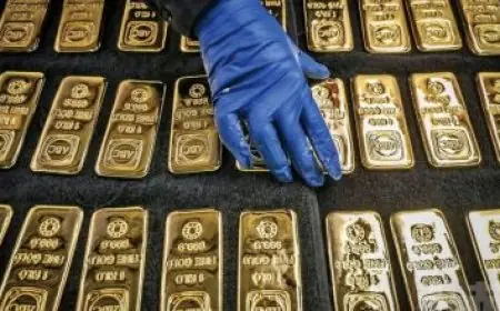 تحديثات حية لأسعار الدواجن والبيض اليوم الأحد في الأسواق المصرية