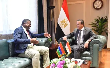 خالد عبدالغفار يبحث تعزيز التعاون الصحي والدوائي مع وزير صحة جامبيا