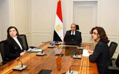 وزير الخارجية يعقد لقاءً افتراضياً مؤثراً مع الجالية المصرية في كمبوديا وسنغافورا وتايلاند