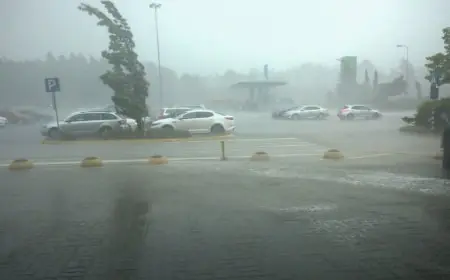 الأرصاد تكشف الطقس غدا: درجات حرارة منخفضة وظواهر جوية بارزة