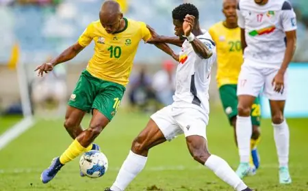 موعد مباراة جنوب إفريقيا وأنجولا في كأس الأمم ضمن مجموعة مصر