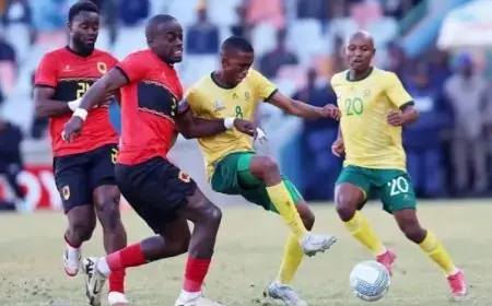 اليوم مواجهة نارية بين جنوب أفريقيا وأنجولا في مجموعة مصر بكأس الأمم الأفريقية 2025