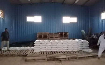 وزارة الزراعة توفر 100 طن تقاوي شعير و33 ألف شتلة زيتون مجاناً