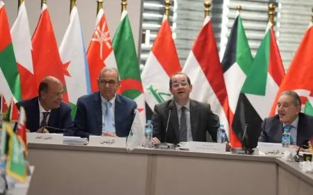 وزير المالية يعلن عن خطة تحويل مصر إلى مركز صناعي وتجاري إقليمي لدول أفريقيا وأوروبا وآسيا