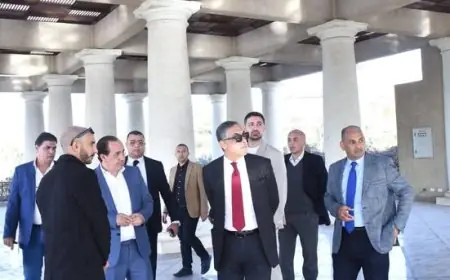 رئيس هيئة الاستثمار يقوم بجولة تفقدية في مشروع نايا ويلنس نايل سورناجا