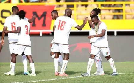 مواجهة مالي وزامبيا: حقائق وأرقام مثيرة عن مباراة المجموعة الأولى بكأس أمم أفريقيا
