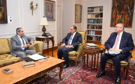 الرئيس يأمر بنقل السفارات والبعثات إلى العاصمة الإدارية الجديدة