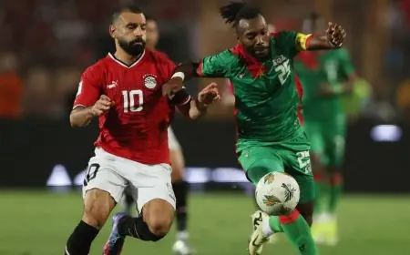 اكتشف تاريخ إفريقيا الطبيعي عبر ألقاب المنتخبات: الأسود، الأفيال، والفراعنة