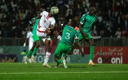 مدرب السودان: الجزائر ضمن نخبة منتخبات العالم وثقتنا بأنفسنا لا تتزعزع