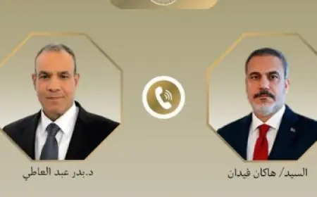 اجتماع وزير الخارجية مع نظيره التركي لمناقشة ترتيبات زيارة أردوغان المنتظرة للقاهرة
