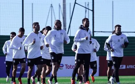منتخب مصر يبدأ تحضيراته لمواجهة حاسمة أمام جنوب أفريقيا في كأس أمم أفريقيا