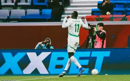 أهداف وملخص فوز أسود التيرانجا على بوتسوانا في كأس أفريقيا