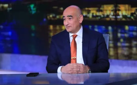 كل ما تحتاج معرفته عن فوز مصر بمقعد في الجمعية العامة للمنظمة البحرية الدولية