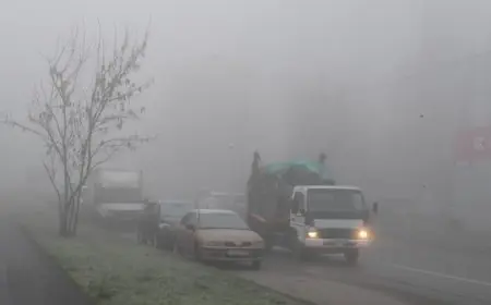 تحذيرات هامة: الشبورة الكثيفة صباحًا تؤثر على طقس اليوم